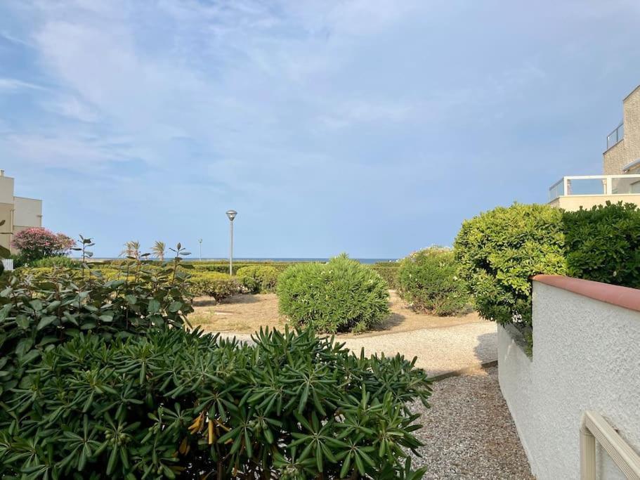 Le Grand Large 3 Pieces En Rez De Jardin, Avec Terrasse Et Acces Direct A La Plage A Pied Le Barcarès المظهر الخارجي الصورة